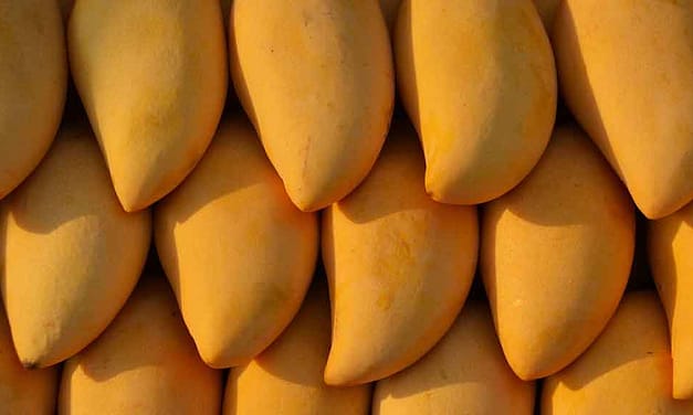 Wie schäle ich Mango? How do I peel mango?